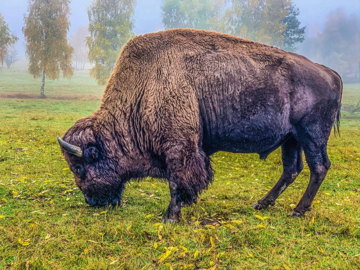 Podhradi Landstejn Villa Slavonice Luaran gambar